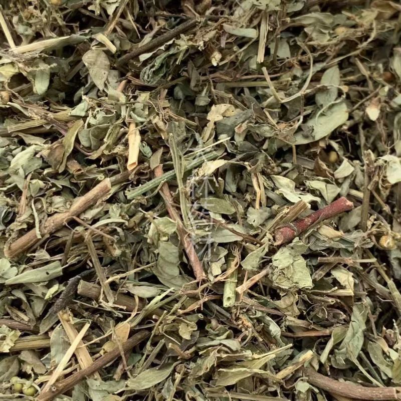 叶下珠【包邮】三斤起发货可批量可零售量大从优
