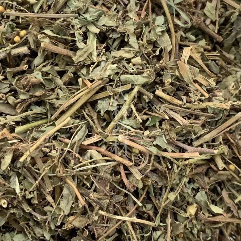 叶下珠【包邮】三斤起发货可批量可零售量大从优