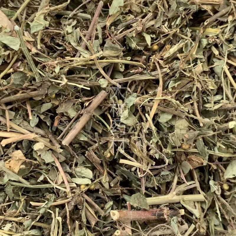 叶下珠【包邮】三斤起发货可批量可零售量大从优
