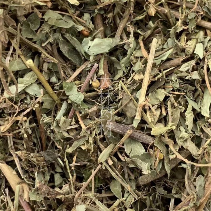 叶下珠【包邮】三斤起发货可批量可零售量大从优
