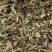 叶下珠【包邮】三斤起发货可批量可零售量大从优