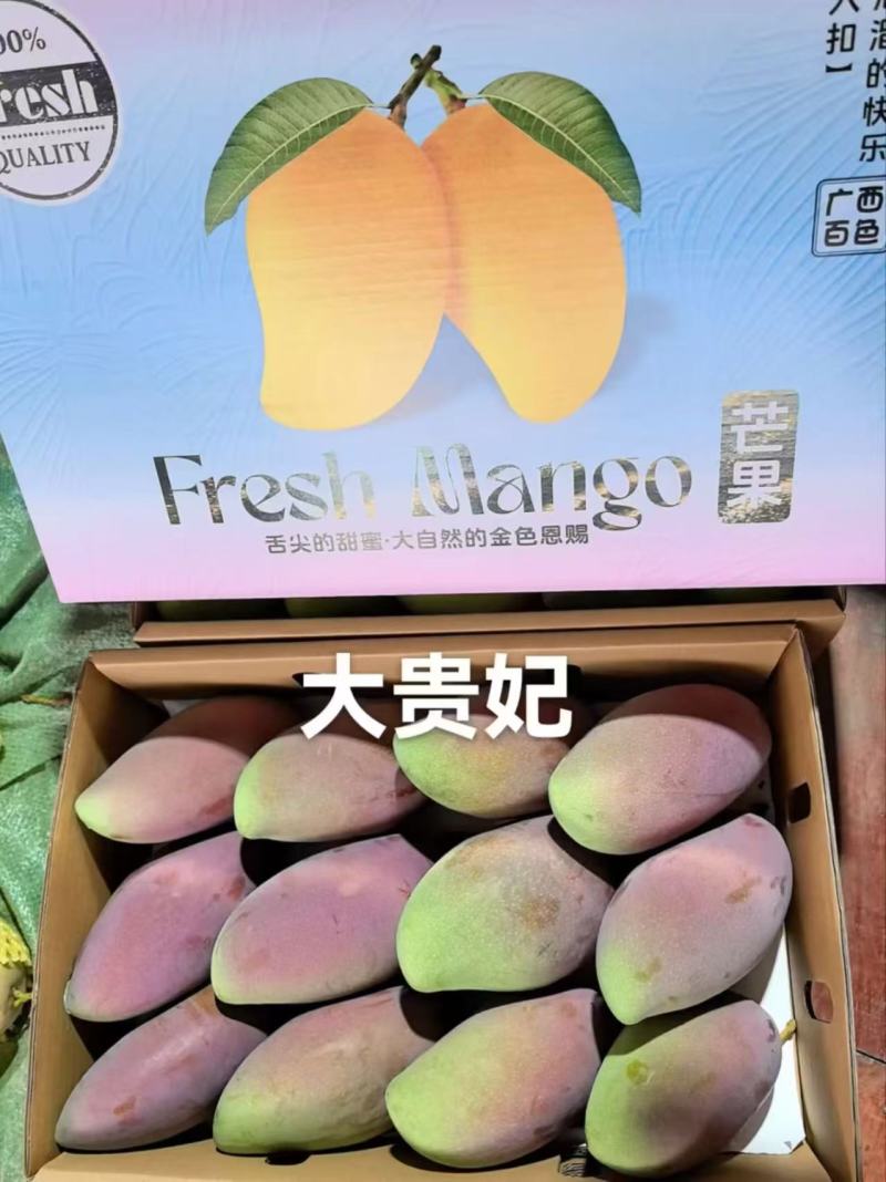 百色田东金煌芒贵妃芒