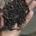红茶茶头茶梗（微糖）
