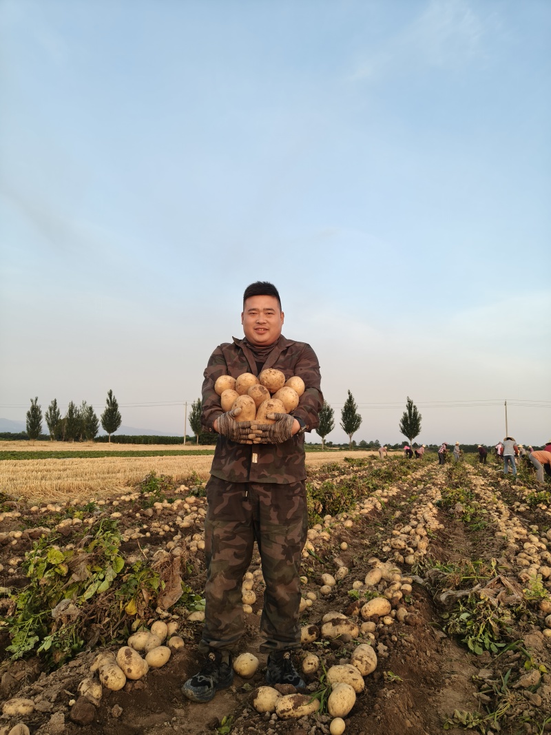 沃土+土豆