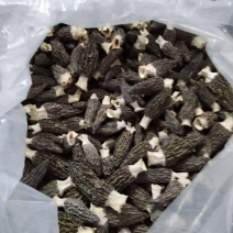 万岭生态园羊肚菌