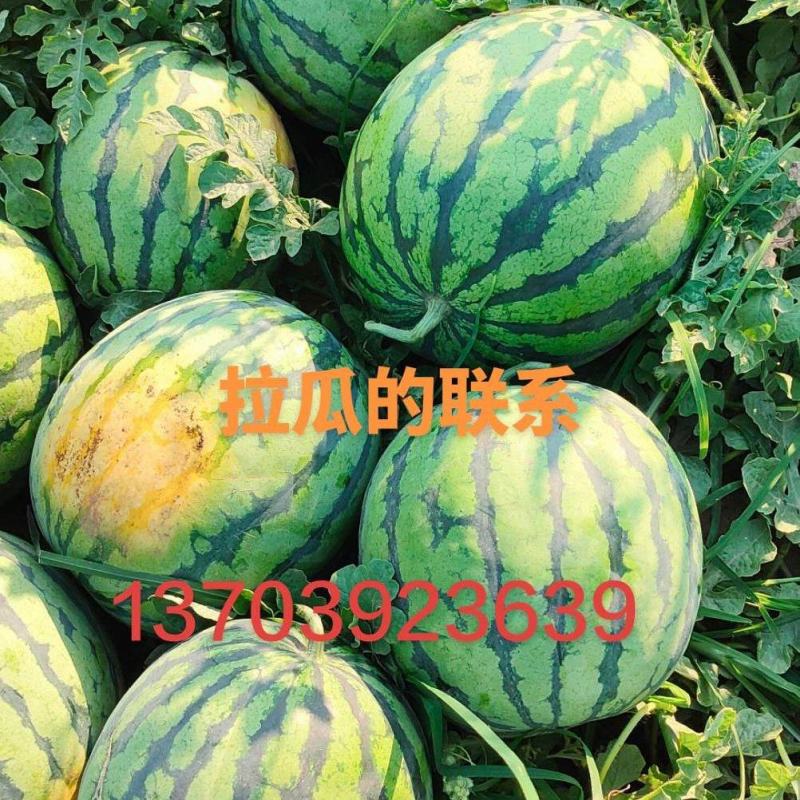 西瓜