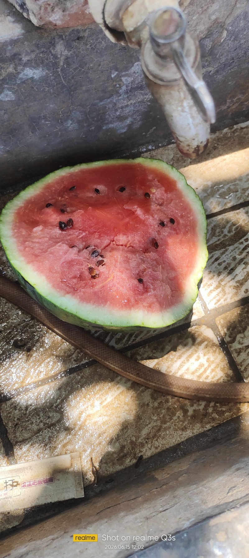 西瓜