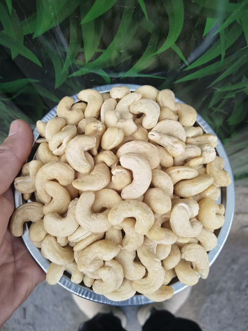 腰果精品生腰果仁整颗粒腰果碎各种等级现货直销