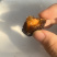西梅干大果