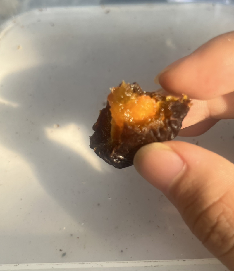 西梅干大果