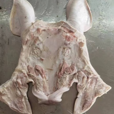 去干净毛整个猪头皮