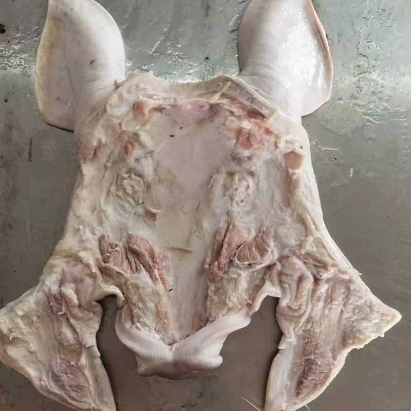 去干净毛整个猪头皮