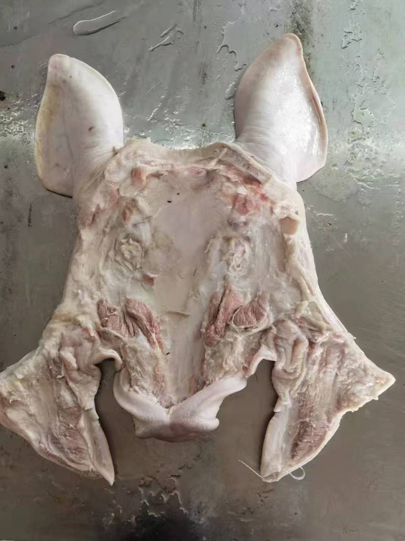 去干净毛整个猪头皮