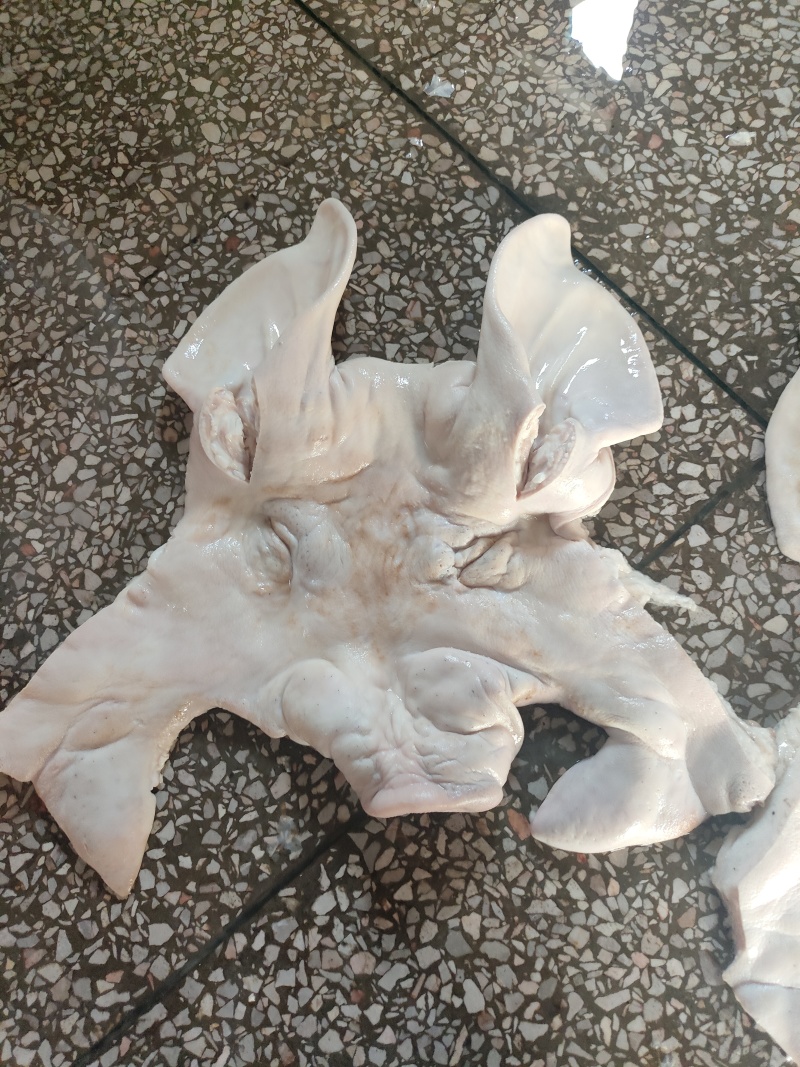 去干净毛整个猪头皮