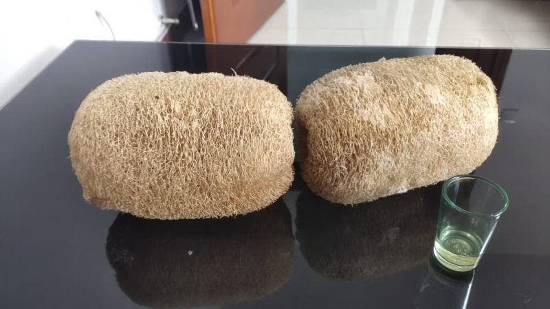 丝瓜络供应
