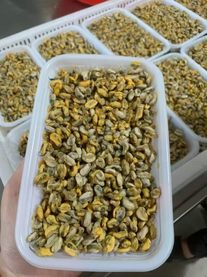 去壳纯肉海瓜子肉现剥薄壳米盒装