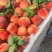 蒙阴蜜桃