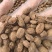砂仁中药材正宗精选500g非春砂仁毛香料沙仁米煲汤泡茶