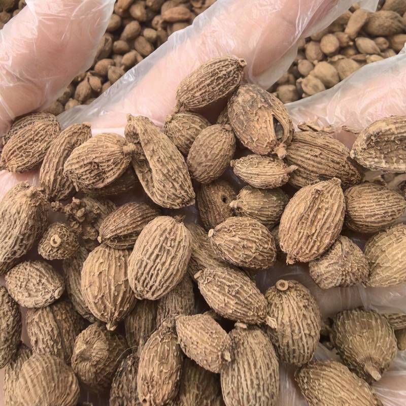 砂仁中药材正宗精选500g非春砂仁毛香料沙仁米煲汤泡茶