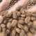 砂仁中药材正宗精选500g非春砂仁毛香料沙仁米煲汤泡茶