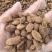 砂仁中药材正宗精选500g非春砂仁毛香料沙仁米煲汤泡茶