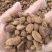 砂仁中药材正宗精选500g非春砂仁毛香料沙仁米煲汤泡茶