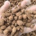 砂仁中药材正宗精选500g非春砂仁毛香料沙仁米煲汤泡茶