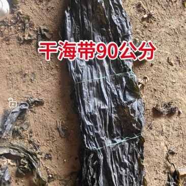 干海带，90公分干海带