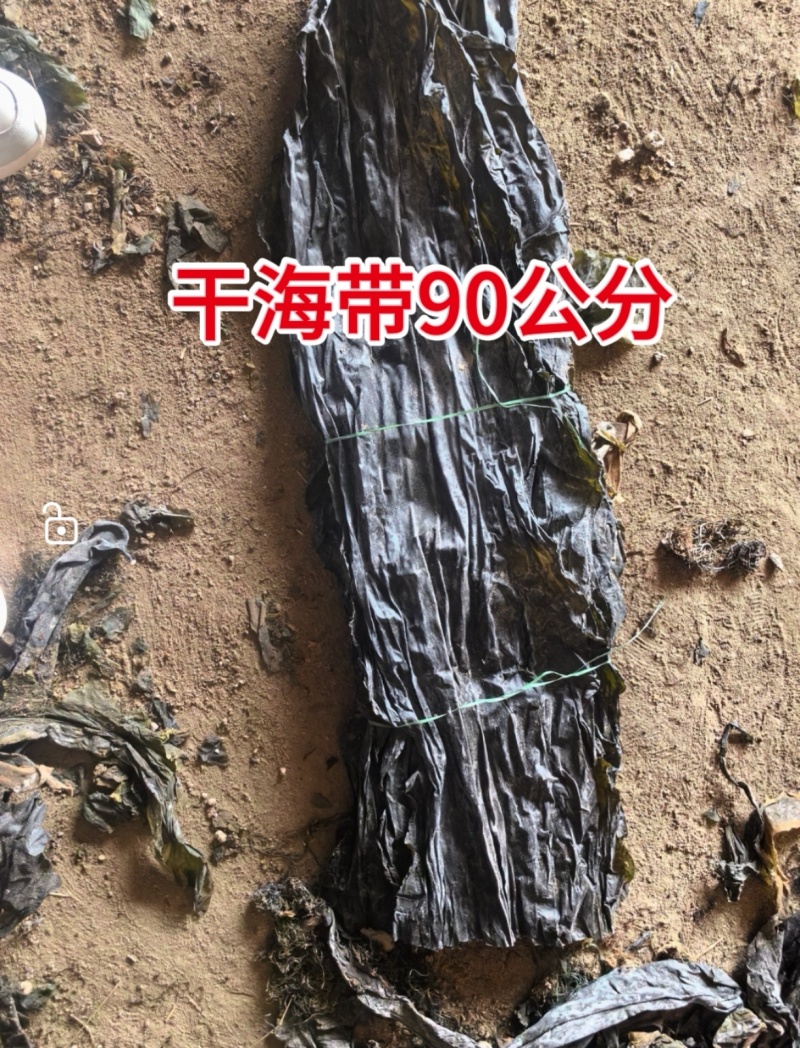 干海带，90公分干海带