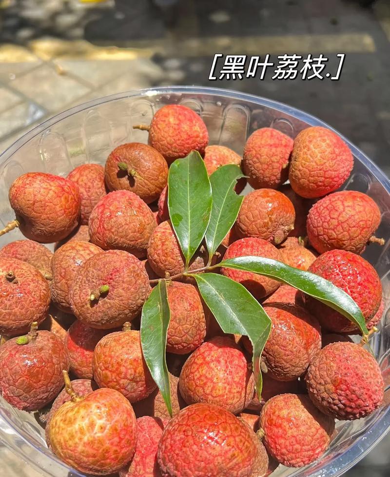 热卖黑叶荔枝福建荔枝汁多核小价格实惠现摘现发欢迎老板联系