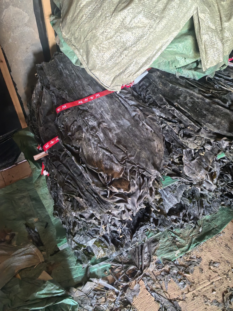 干海带头，40公分，海带头板菜