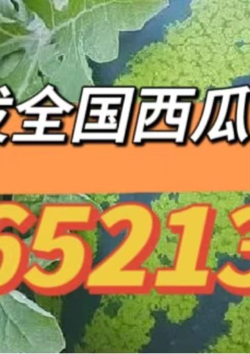 产地河南开封。美度西瓜12个糖以上欢迎咨询