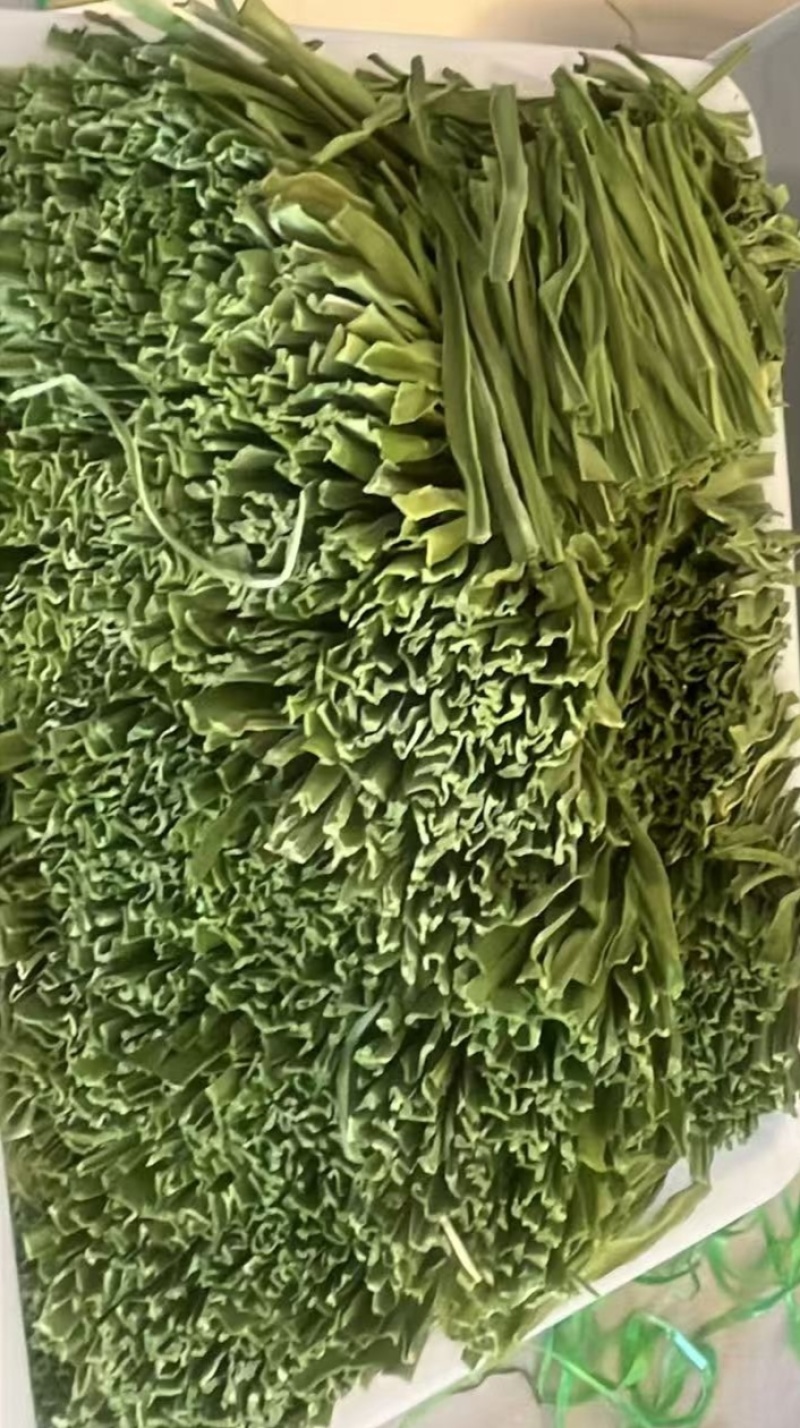 涡阳特产，精品贡菜段盒装，50g/60g/80g火锅凉拌