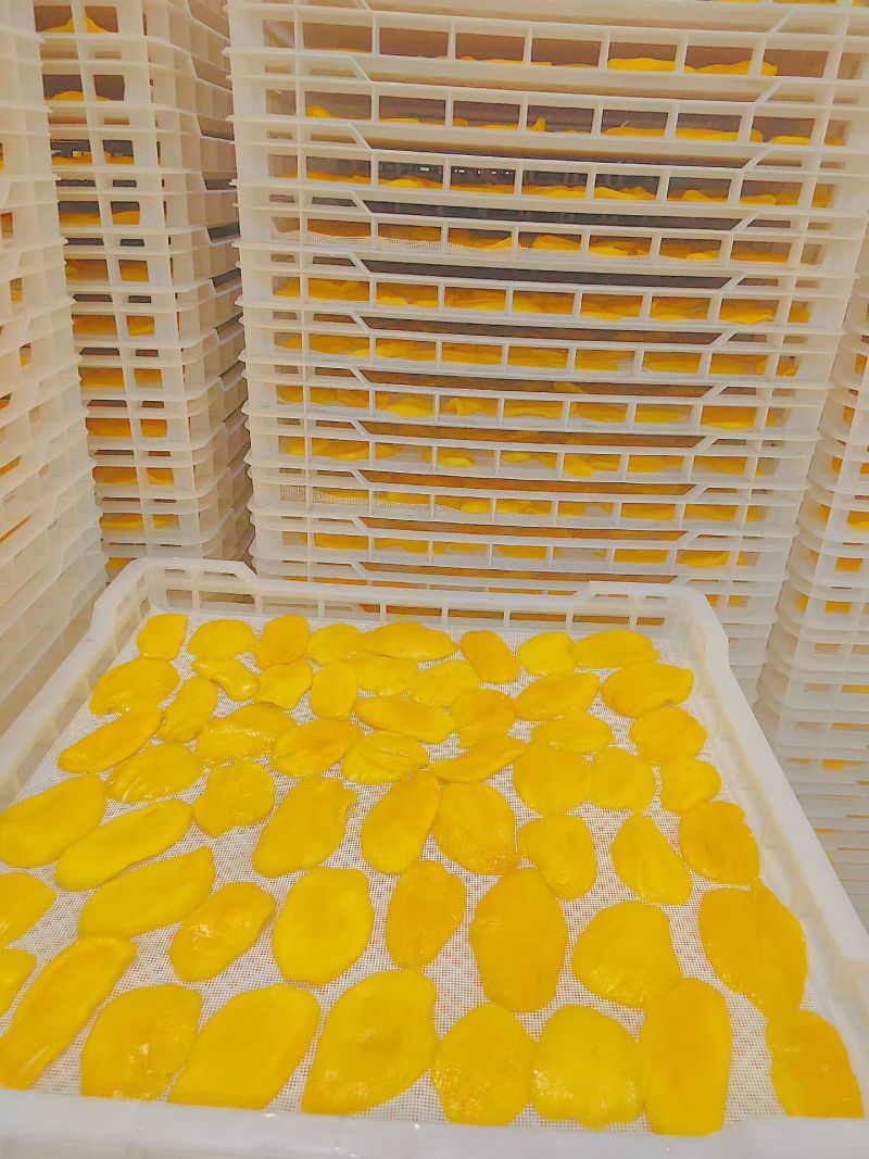 广西芒果干大量批发