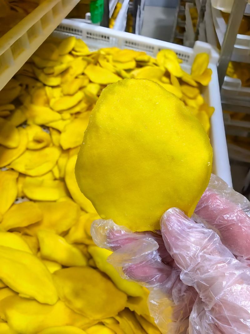 广西芒果干大量批发