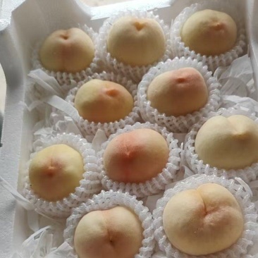 江苏突围水蜜桃价格美丽质量好走货快量大从优欢迎采购