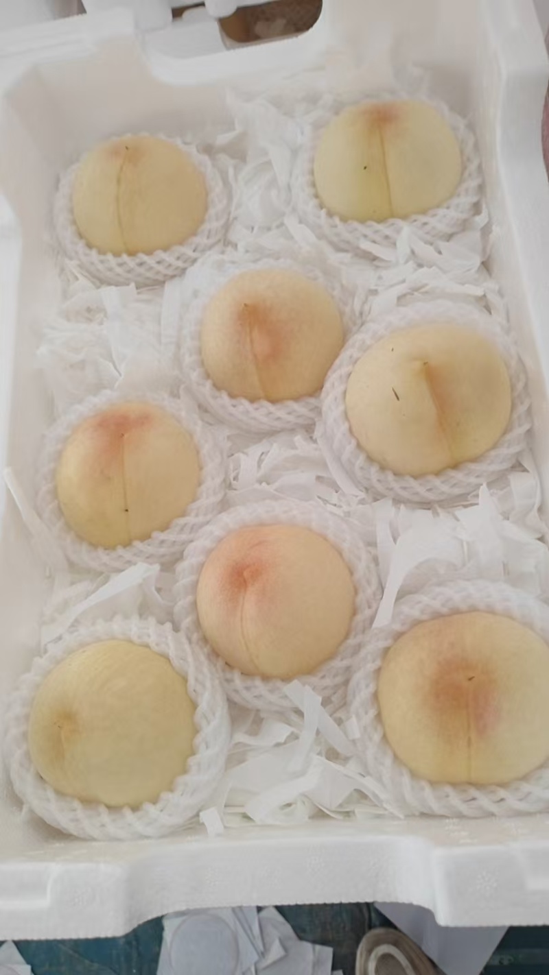 江苏突围水蜜桃价格美丽质量好走货快量大从优欢迎采购