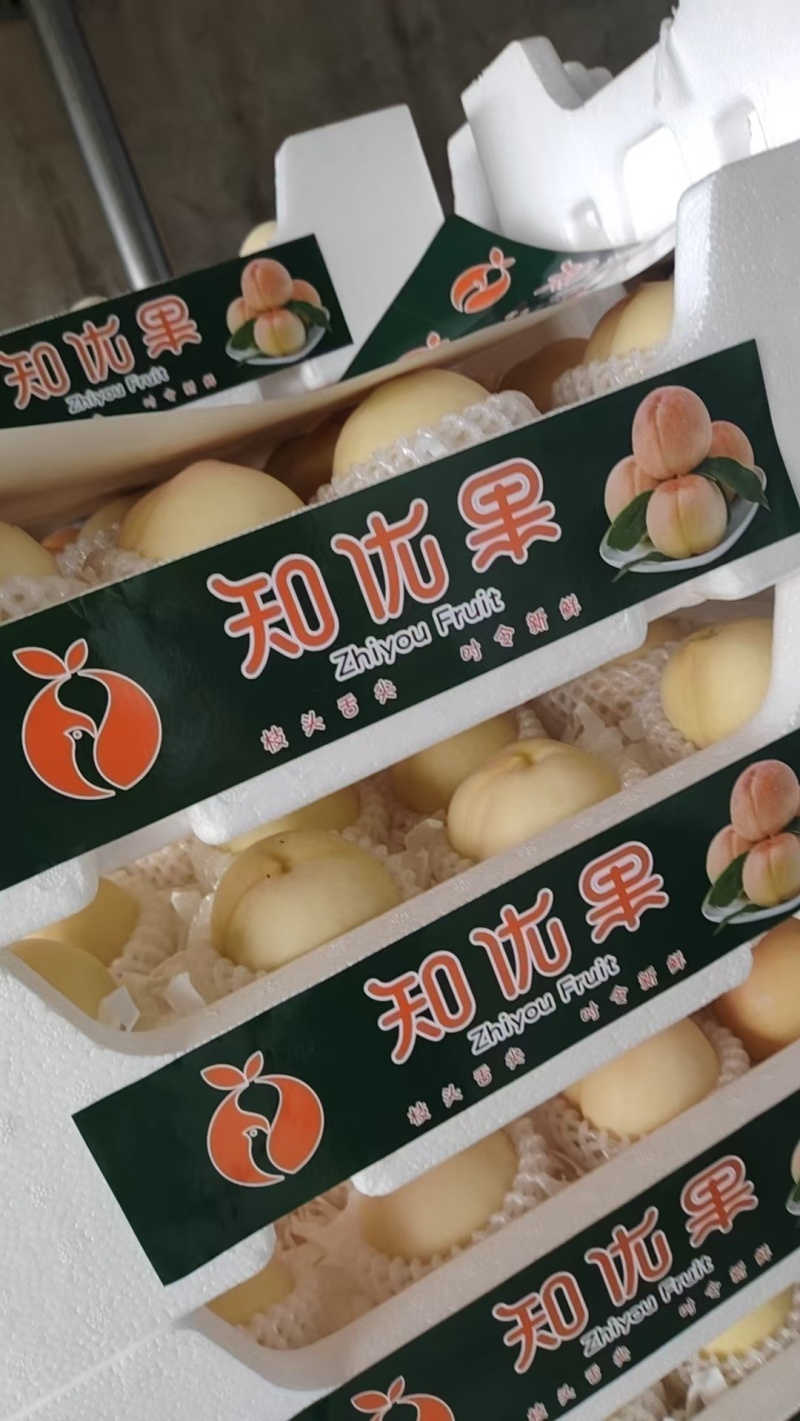 江苏突围水蜜桃价格美丽质量好走货快量大从优欢迎采购