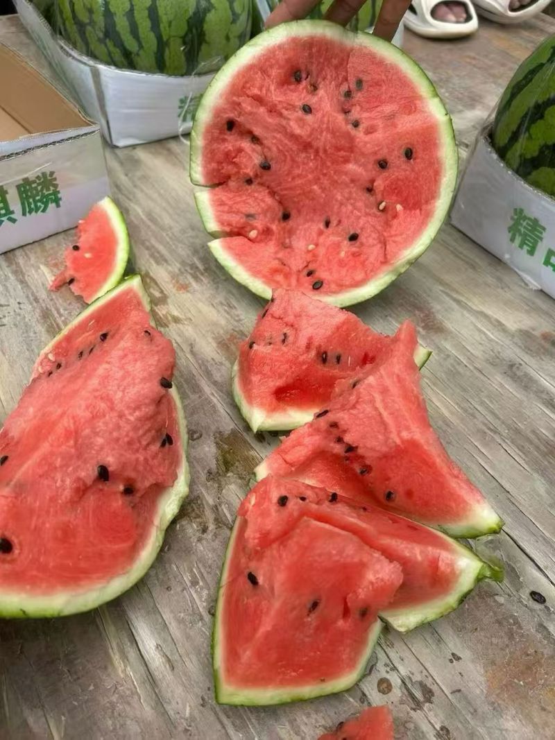 有籽西瓜有籽美都西瓜大量供应可视频看货欢迎来电采购