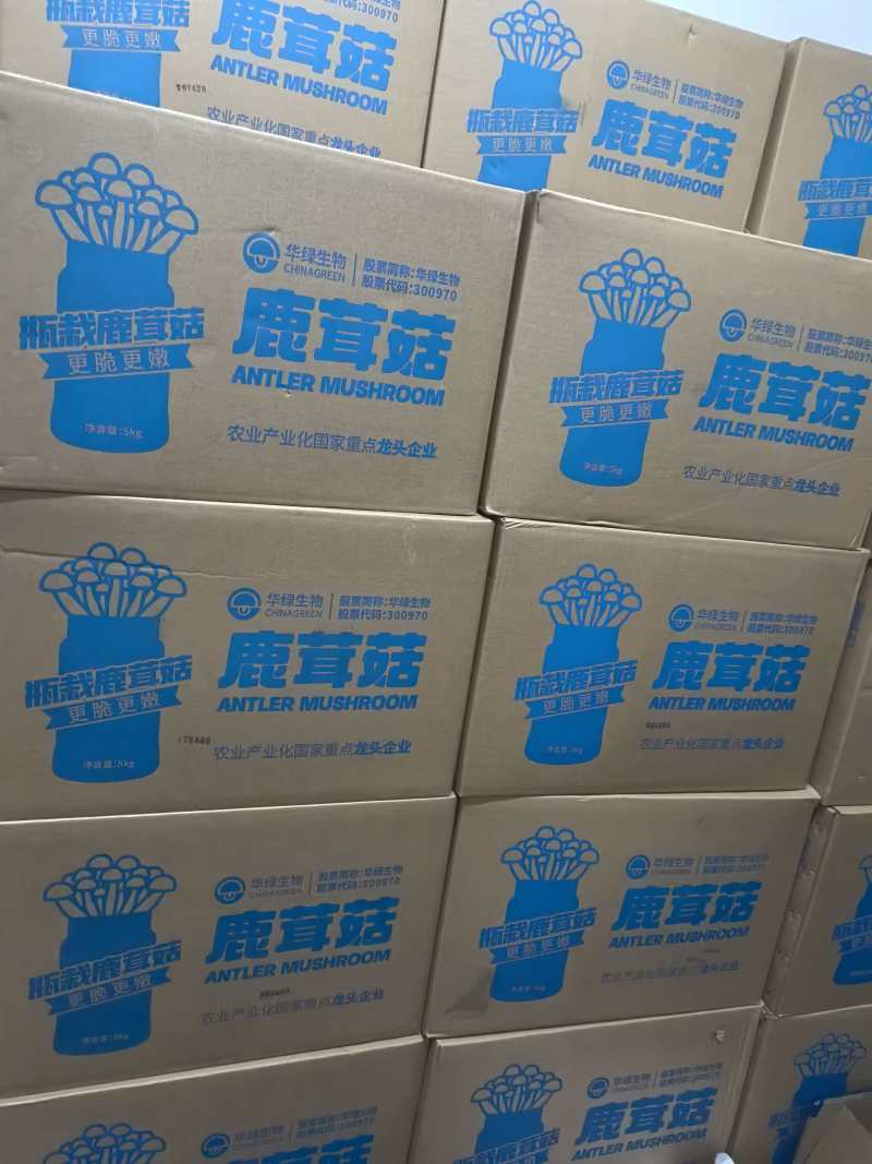 鹿茸菇，炖汤，炒肉，火锅皆可使用，对接电商，酒店地摊等