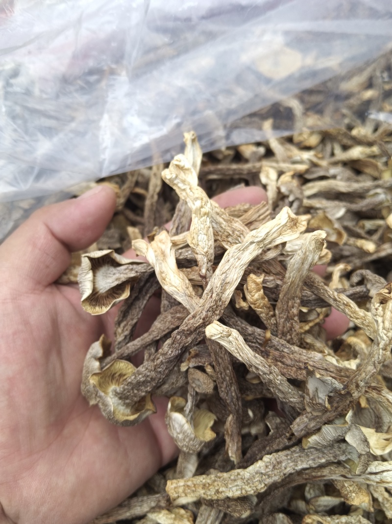 鹿茸菇，炖汤，炒肉，火锅皆可使用，对接电商，酒店地摊等