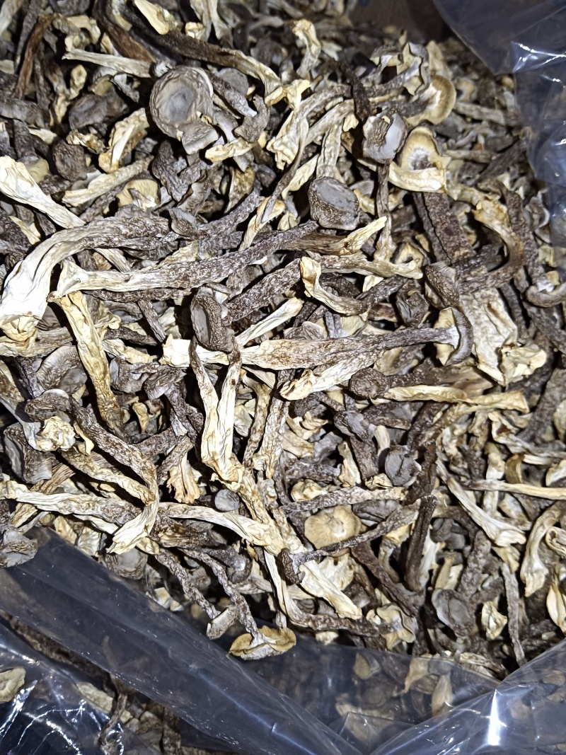 鹿茸菇，炖汤，炒肉，火锅皆可使用，对接电商，酒店地摊等