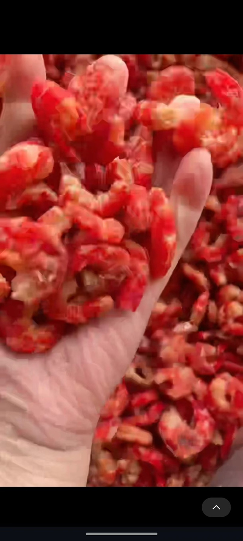 九节虾仁地摊电商批发虾仁虾米虾肉大虾肉虾干干虾