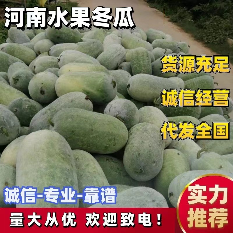 水果冬瓜，产地直发，实力代办，价格优惠，欢迎咨询合作