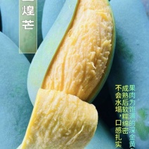 金煌芒小台芒货源充对接市场工厂电商一件代发