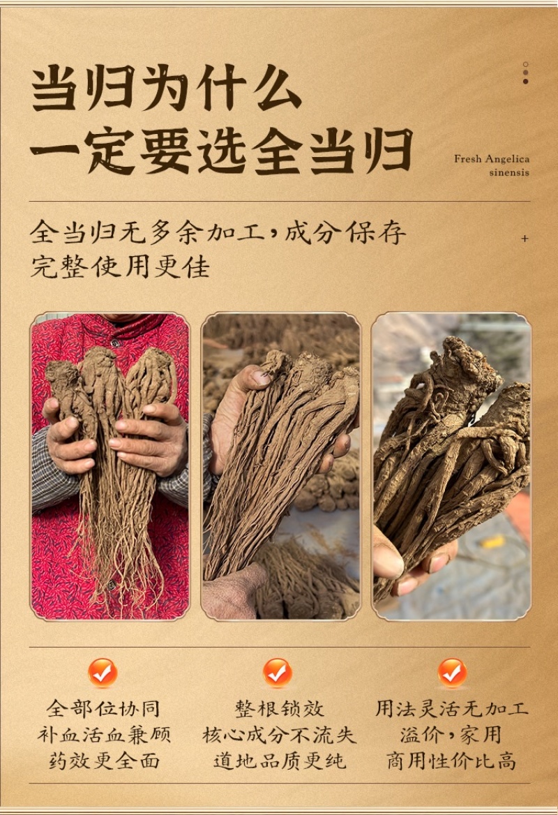 当归全当归岷县产地直发道地产区无硫熏***
