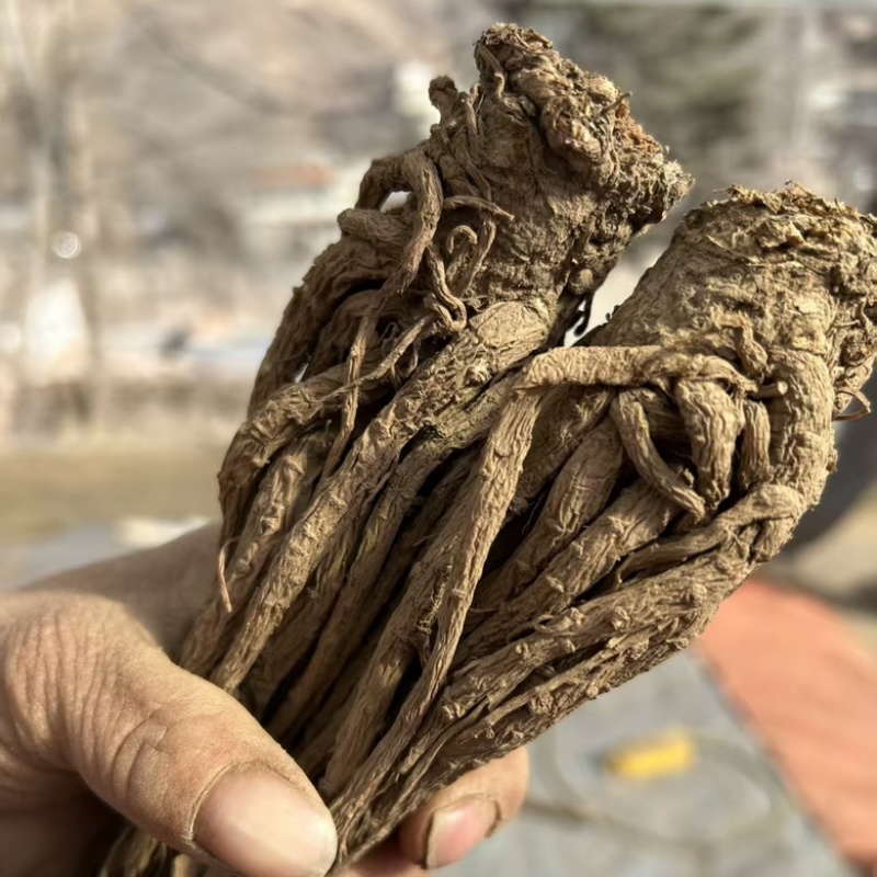 当归全当归岷县产地直发道地产区无硫熏***