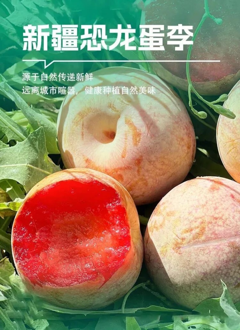 新疆恐龙蛋李子开始了量大质优品质保证诚信经营