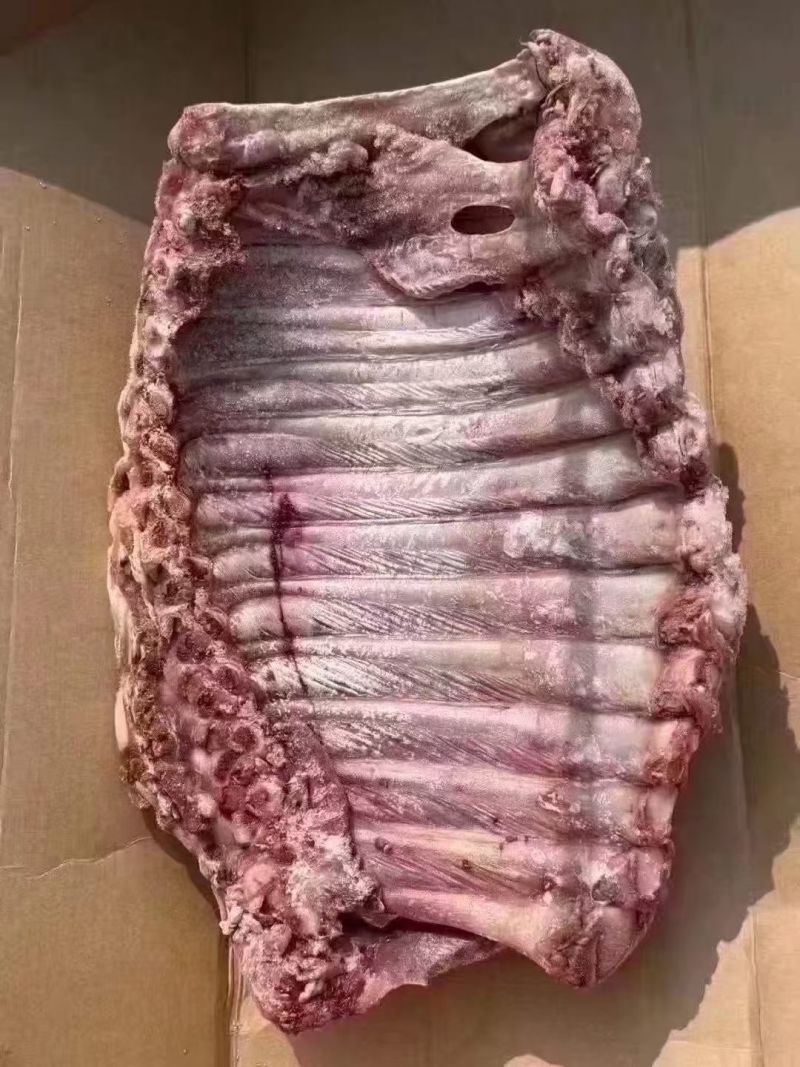 牛光排，含肉多，可做牛排用价优实拍质量看得见，货源稳定。