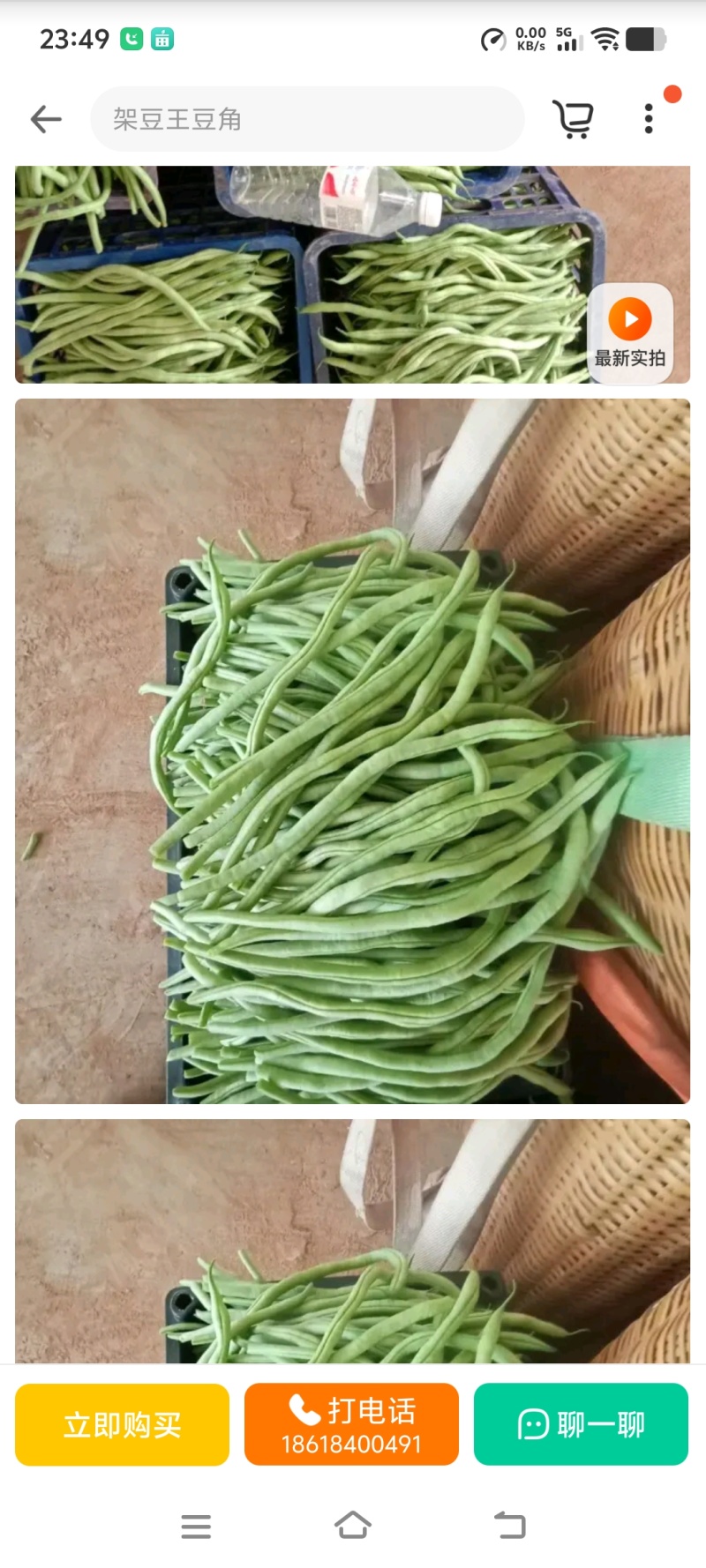 陇南成县本地架豆王豆角无茎豆产地直供可分拣装